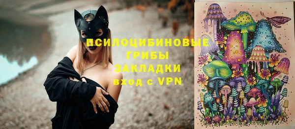 МДПВ Вязьма