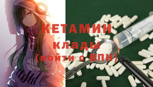 хмурый Верея