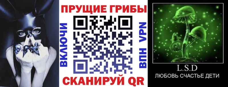 Псилоцибиновые грибы прущие грибы  наркошоп  Владимир 
