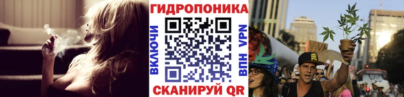гидра tor  цена   Владимир  Марихуана ГИДРОПОН 